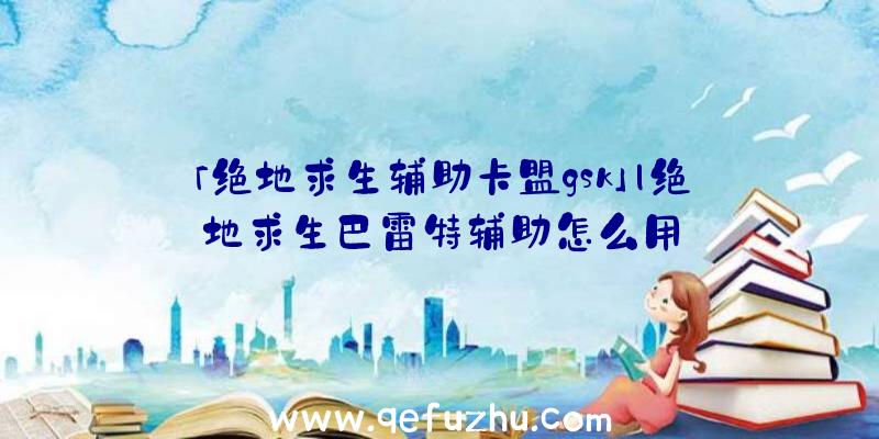 「绝地求生辅助卡盟gsk」|绝地求生巴雷特辅助怎么用